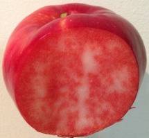 BLUSH ROSETTE Pomme d'automne, chair rouge